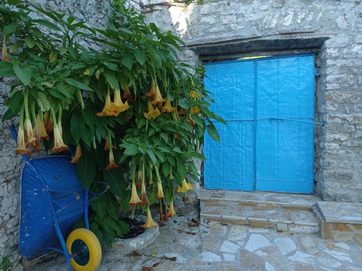 Hébergement de vacances Vintage Mediterranean House
